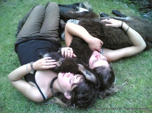 Association Petits Pas