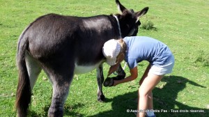 Souvenirs de randonneurs