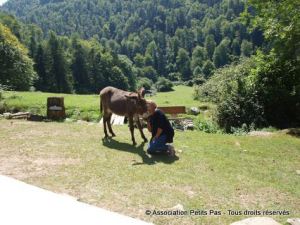 Association Petits Pas