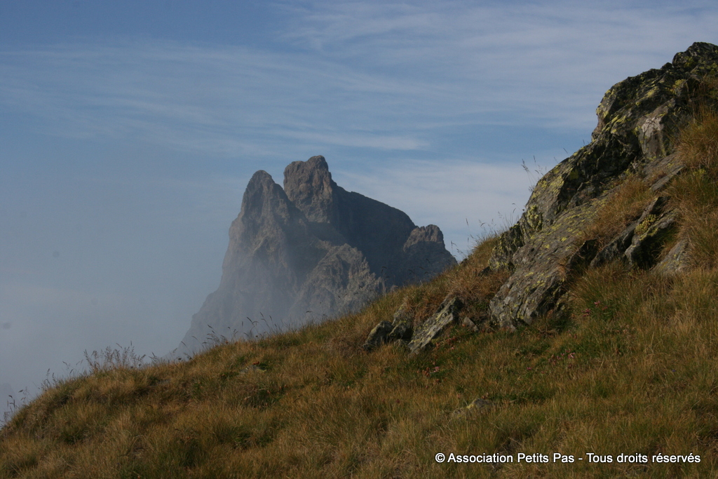 Association Petits Pas