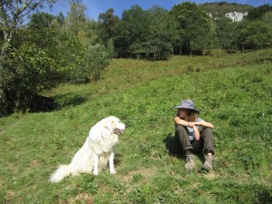 Association Petits Pas